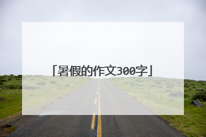 暑假的作文300字