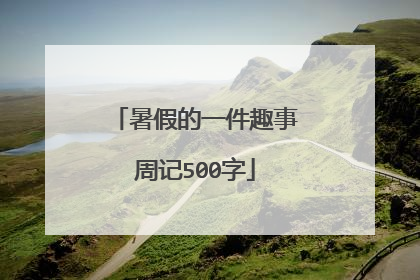 暑假的一件趣事周记500字