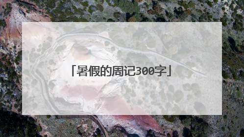 暑假的周记300字