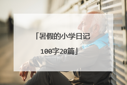 暑假的小学日记100字20篇