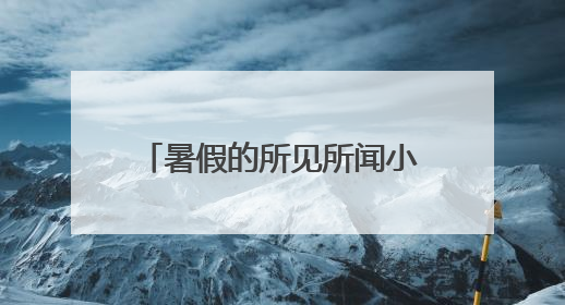 暑假的所见所闻小学作文600字精选大全【8篇】