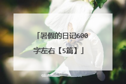 暑假的日记600字左右【5篇】