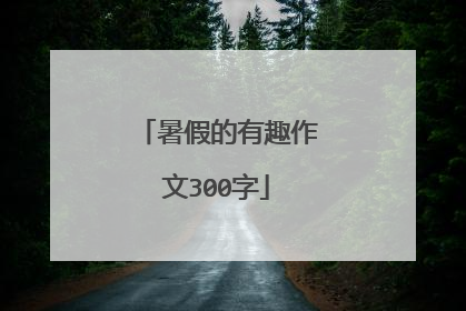 暑假的有趣作文300字