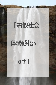暑假社会体验感悟50字