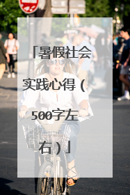 暑假社会实践心得（500字左右）