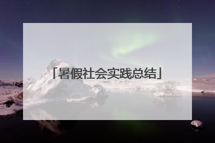 暑假社会实践总结