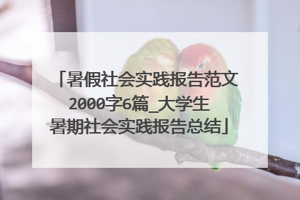 暑假社会实践报告范文2000字6篇_大学生暑期社会实践报告总结
