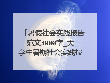 暑假社会实践报告范文3000字_大学生暑期社会实践报告3000字
