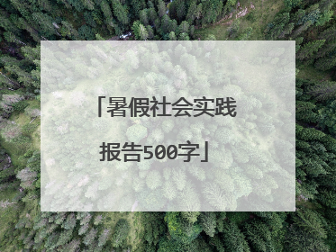 暑假社会实践报告500字
