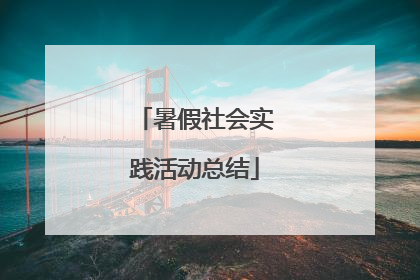 暑假社会实践活动总结