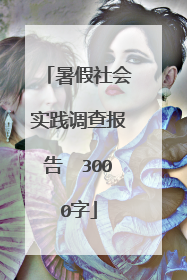 暑假社会实践调查报告　3000字