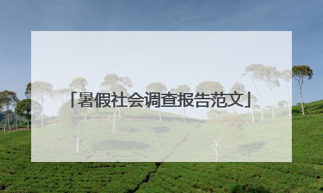 暑假社会调查报告范文