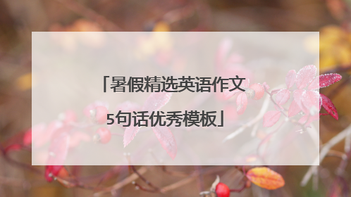 暑假精选英语作文5句话优秀模板