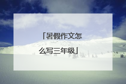 暑假作文怎么写三年级