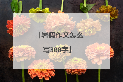 暑假作文怎么写300字