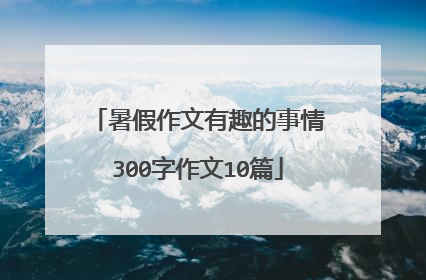 暑假作文有趣的事情300字作文10篇