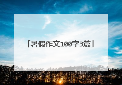 暑假作文100字3篇