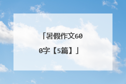 暑假作文600字【5篇】