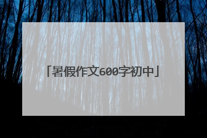 暑假作文600字初中