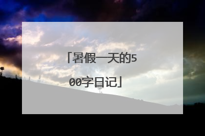 暑假一天的500字日记