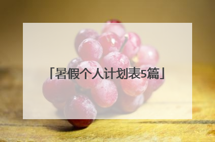 暑假个人计划表5篇