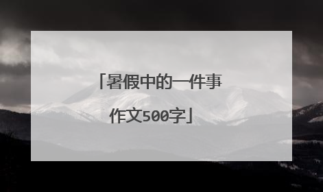 暑假中的一件事作文500字