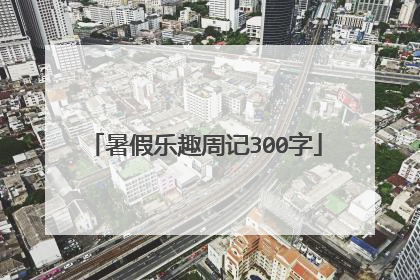暑假乐趣周记300字