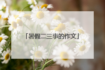 暑假二三事的作文