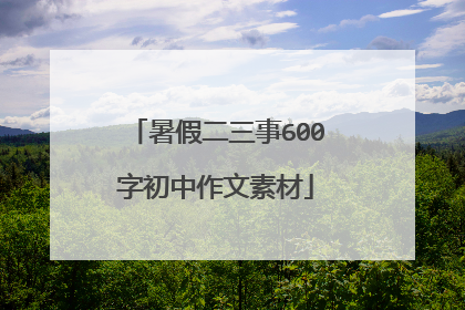 暑假二三事600字初中作文素材