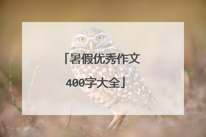 暑假优秀作文400字大全