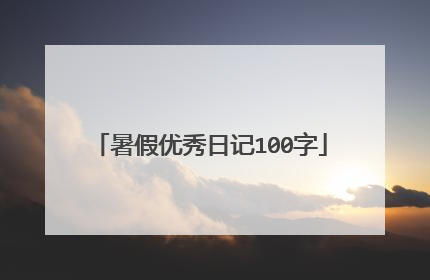 暑假优秀日记100字