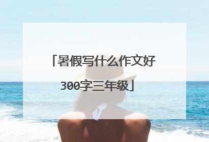 暑假写什么作文好300字三年级