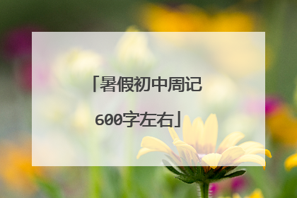 暑假初中周记600字左右