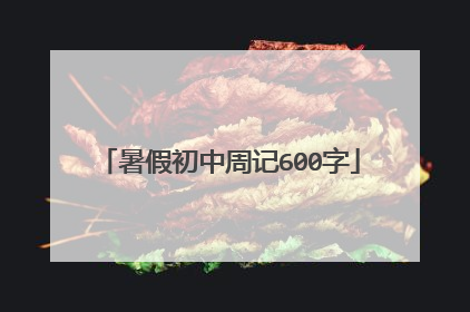 暑假初中周记600字