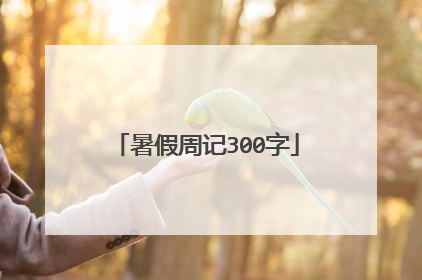 暑假周记300字