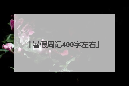 暑假周记400字左右