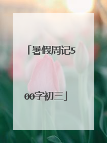 暑假周记500字初三