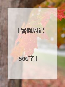 暑假周记500字