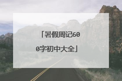 暑假周记600字初中大全