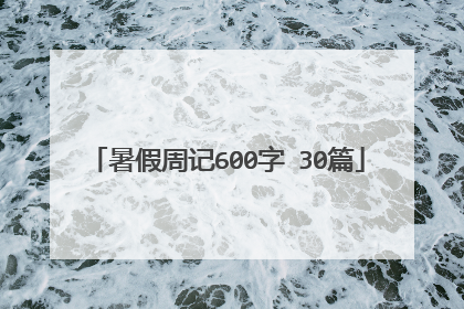 暑假周记600字 30篇