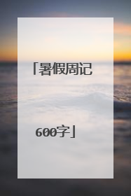暑假周记600字