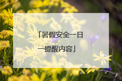 暑假安全一日一提醒内容