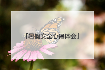 暑假安全心得体会