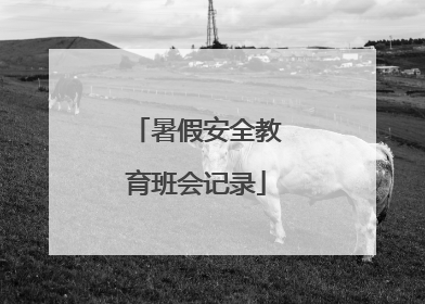 暑假安全教育班会记录