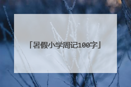 暑假小学周记100字