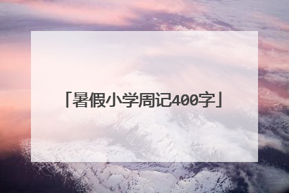 暑假小学周记400字