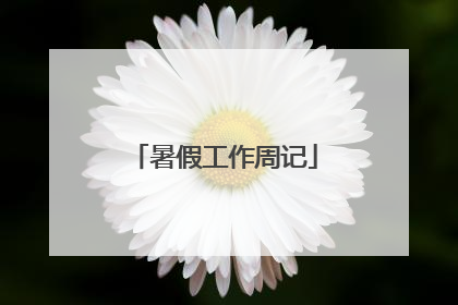 暑假工作周记