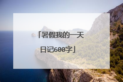 暑假我的一天日记600字