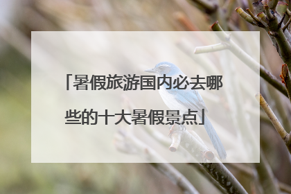 暑假旅游国内必去哪些的十大暑假景点