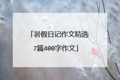暑假日记作文精选7篇400字作文